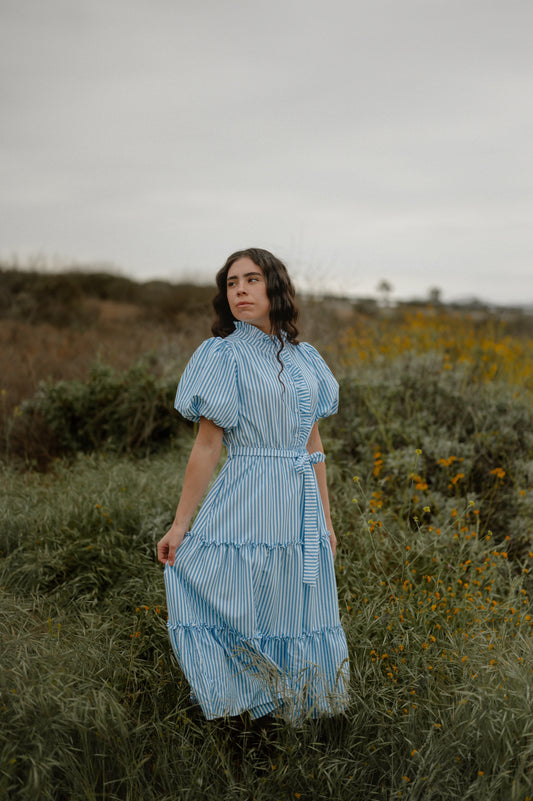 Blue Meadow Daydream