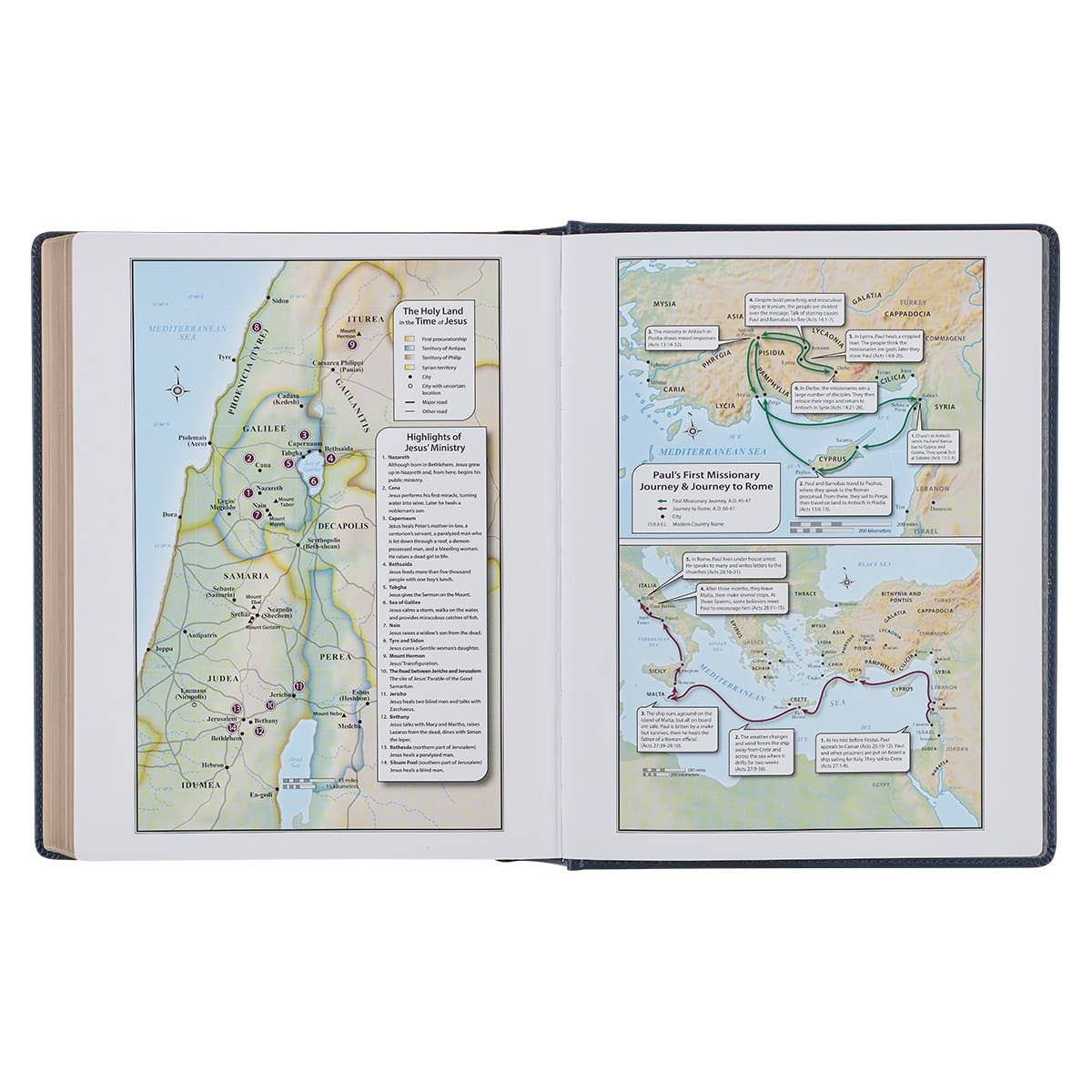 KJV Note-taking Bible LP Faux Leather HC, Navy w/Gold Floral