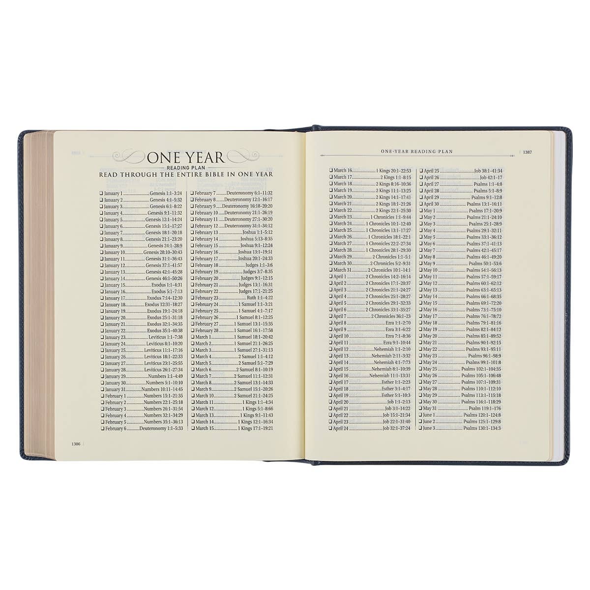 KJV Note-taking Bible LP Faux Leather HC, Navy w/Gold Floral